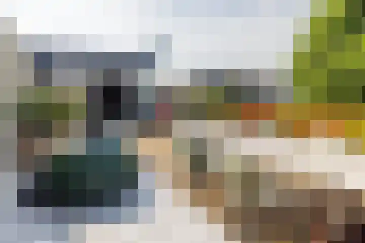 Kapelstraat 11 C 1 Bussum thumbnail 27