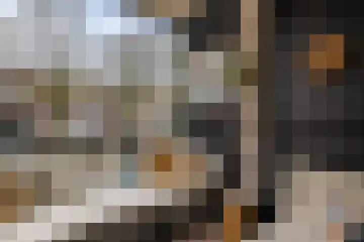 Kapelstraat 11 Emmen thumbnail 33
