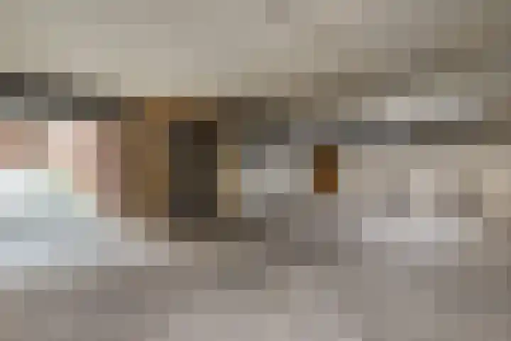 Kapelstraat 11 Emmen thumbnail 37