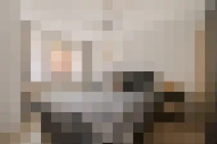 Kapelstraat 11 Emmen thumbnail 8