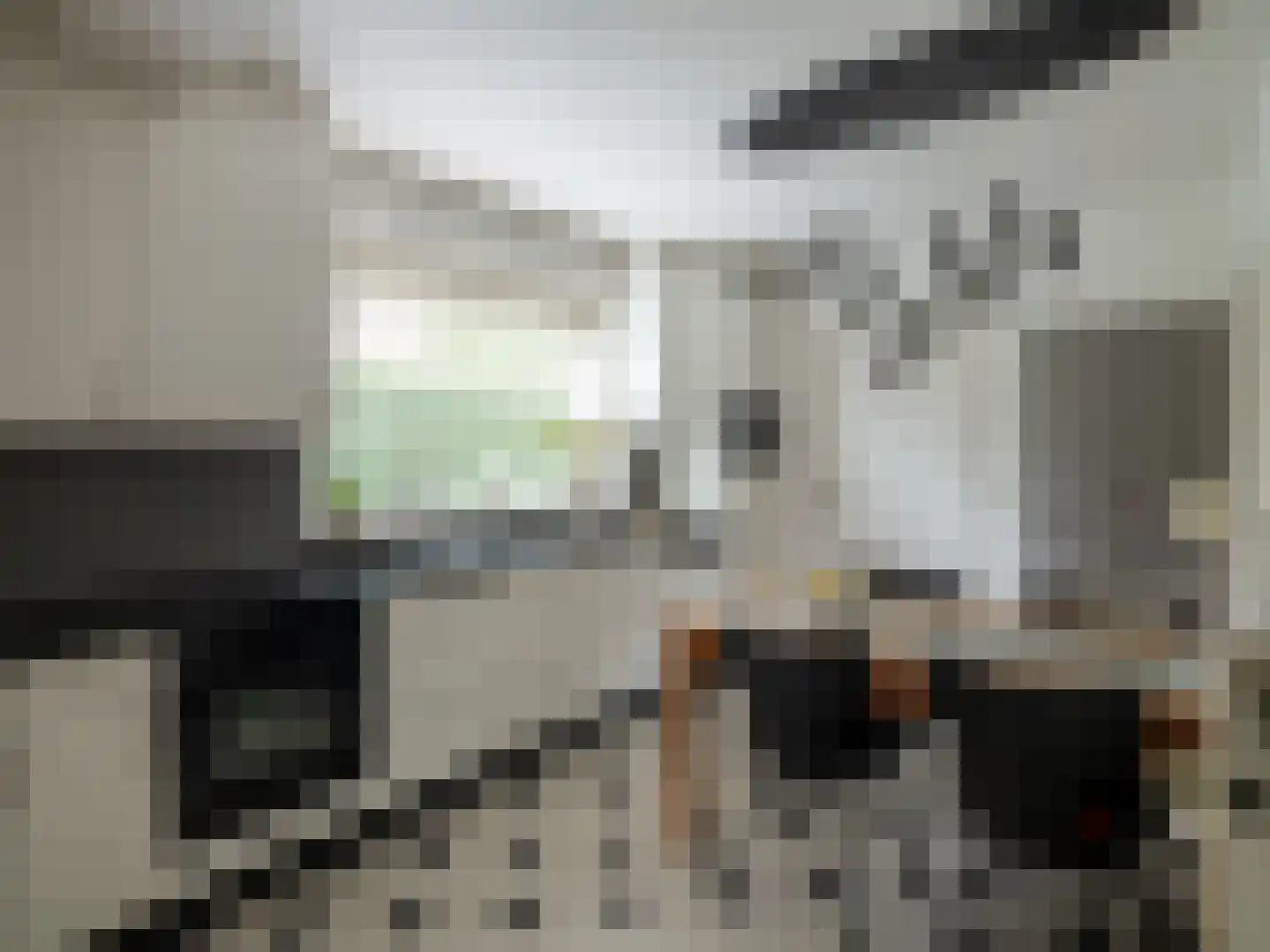 Kapelstraat 116 Beek en Donk thumbnail 13