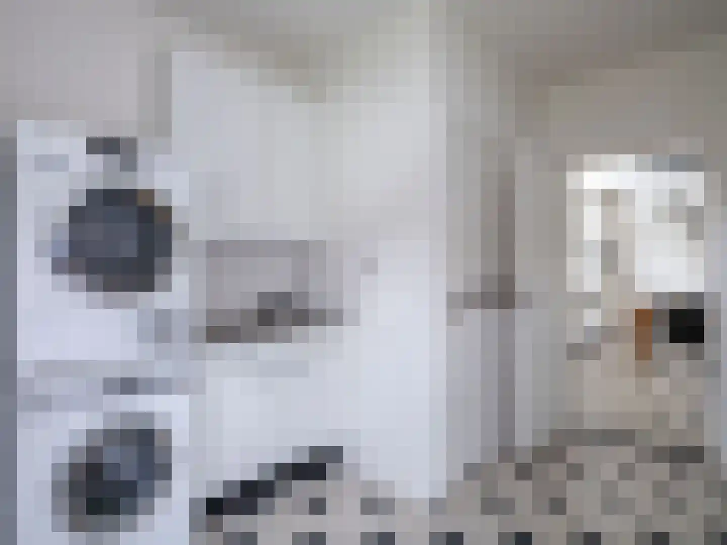 Kapelstraat 116 Beek en Donk thumbnail 14