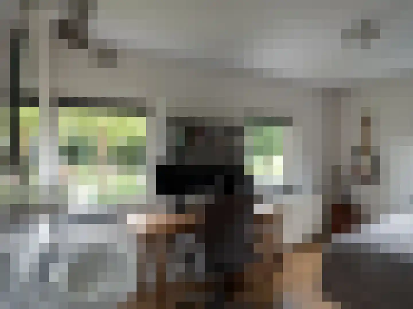 Kapelstraat 116 Beek en Donk thumbnail 21