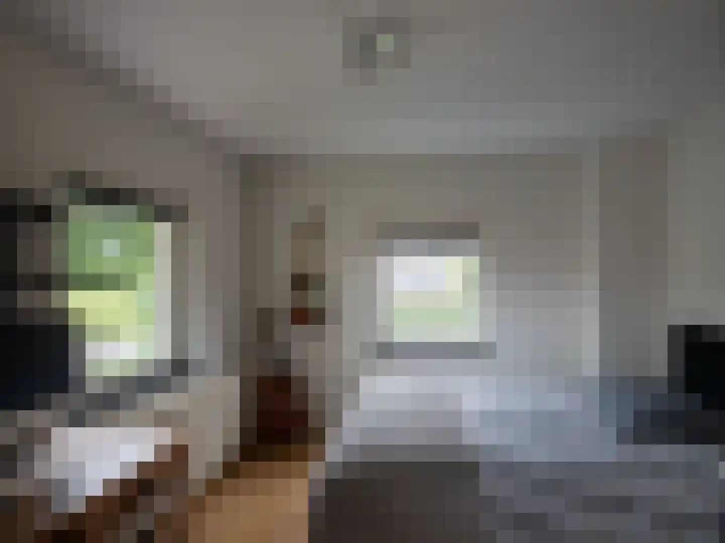 Kapelstraat 116 Beek en Donk thumbnail 22