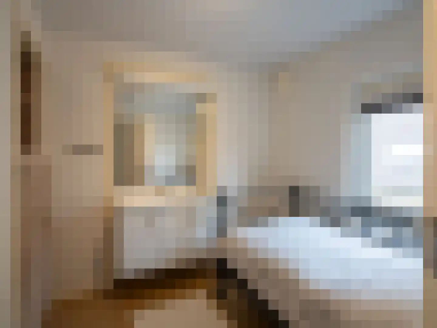 Kapelstraat 116 Beek en Donk thumbnail 25