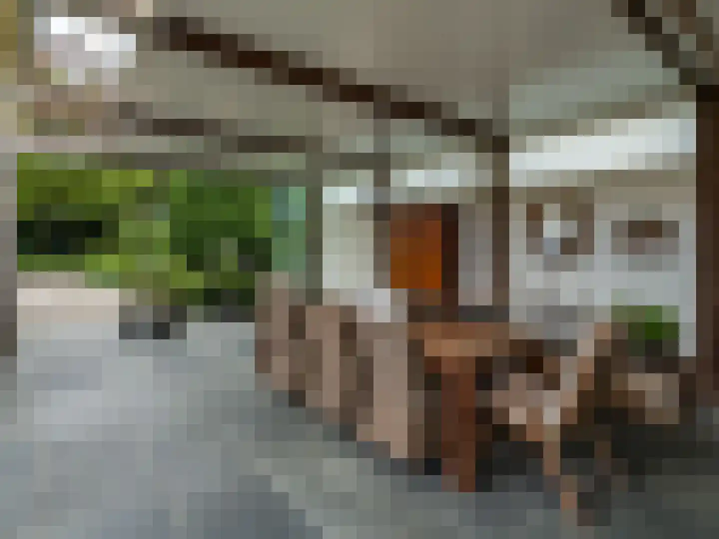Kapelstraat 116 Beek en Donk thumbnail 5