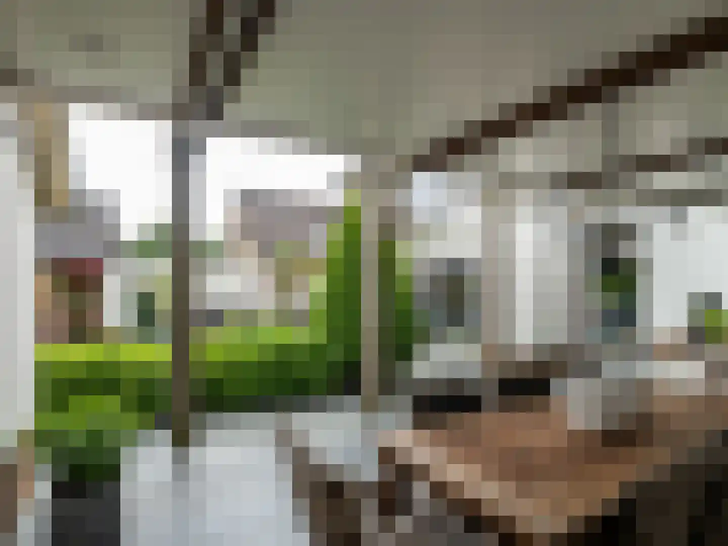 Kapelstraat 116 Beek en Donk thumbnail 6