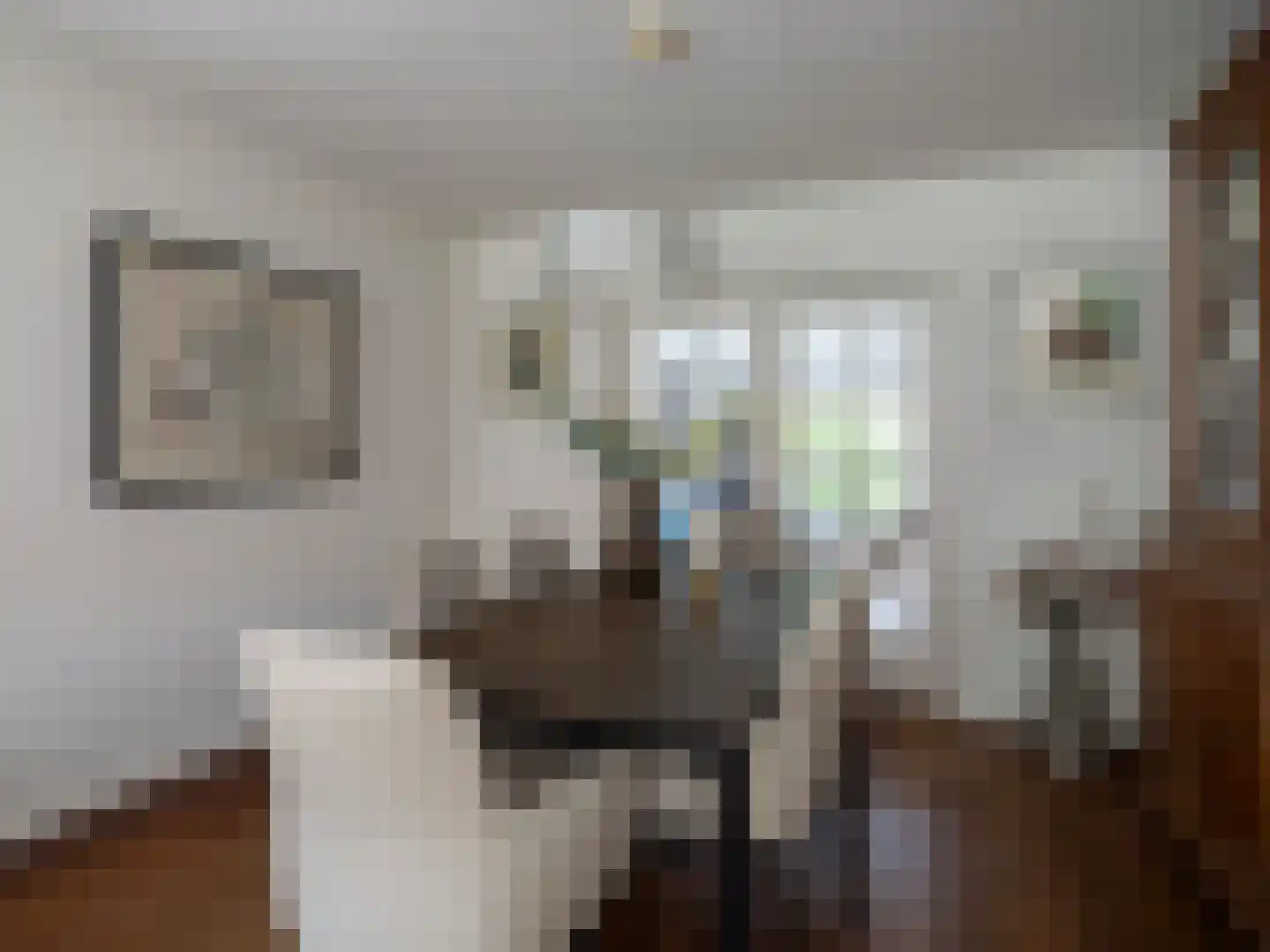 Kapelstraat 116 Beek en Donk thumbnail 8
