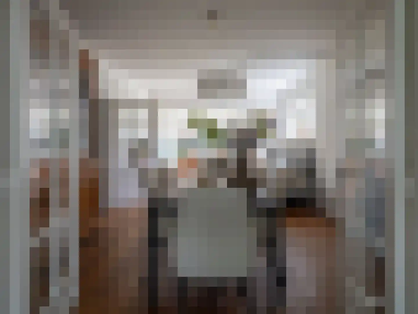 Kapelstraat 116 Beek en Donk thumbnail 9
