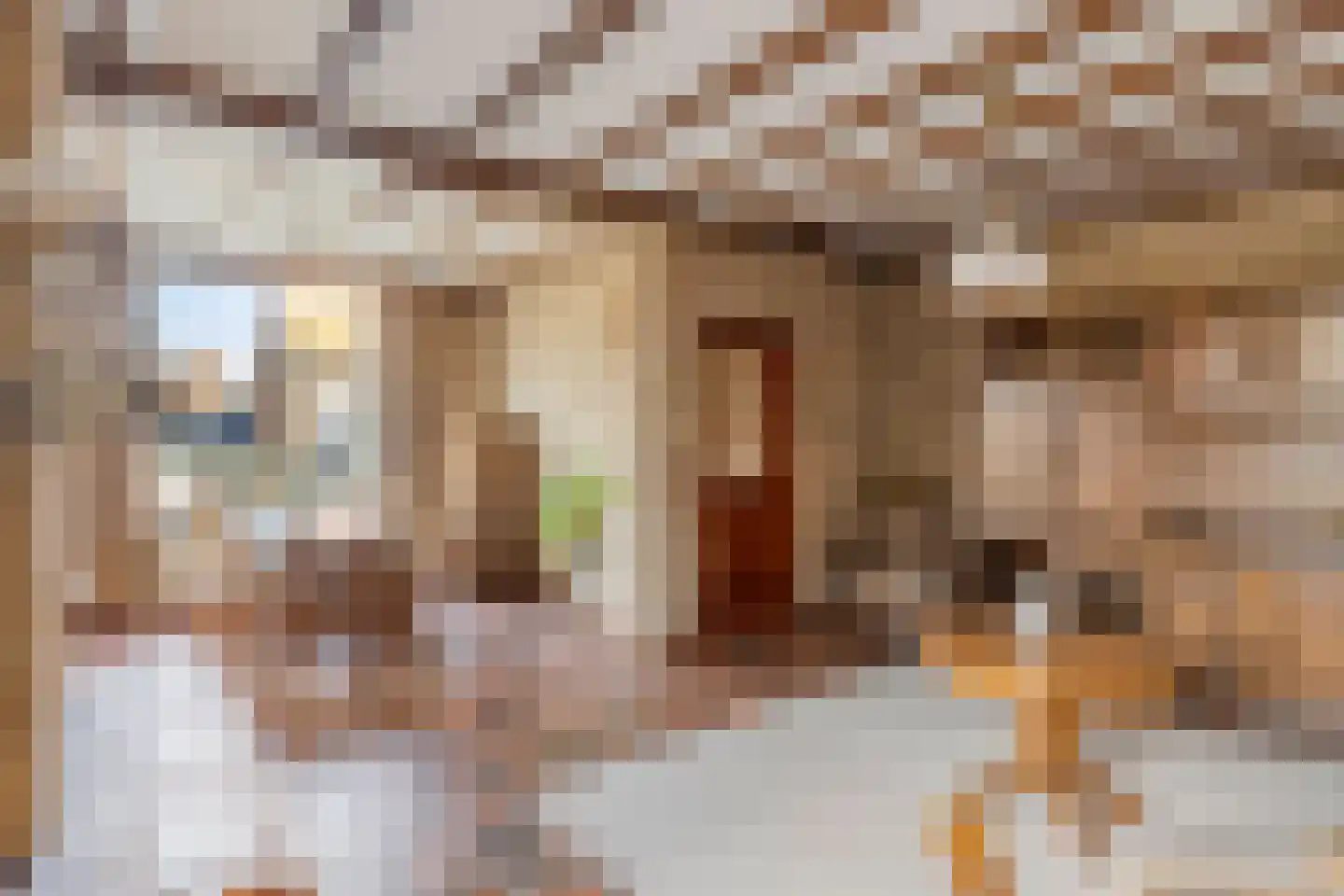 Kapelstraat 117 a Beek en Donk thumbnail 11