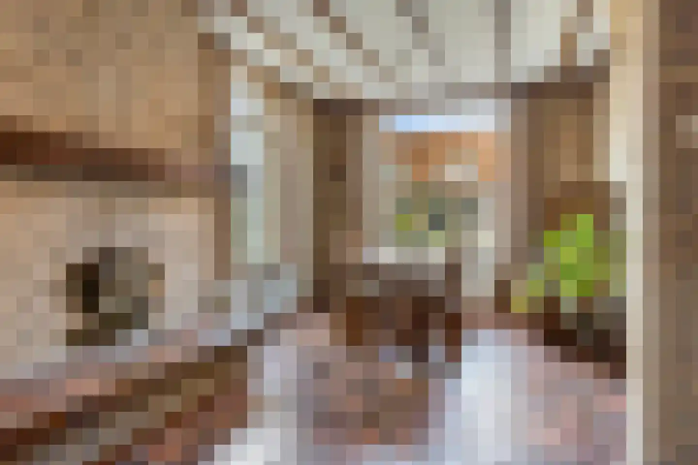 Kapelstraat 117 a Beek en Donk thumbnail 12