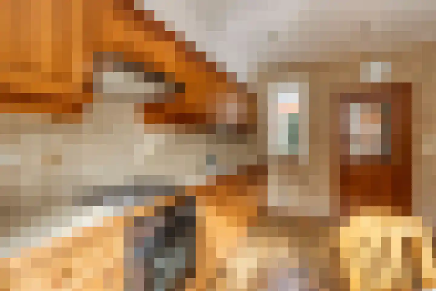Kapelstraat 117 a Beek en Donk thumbnail 16
