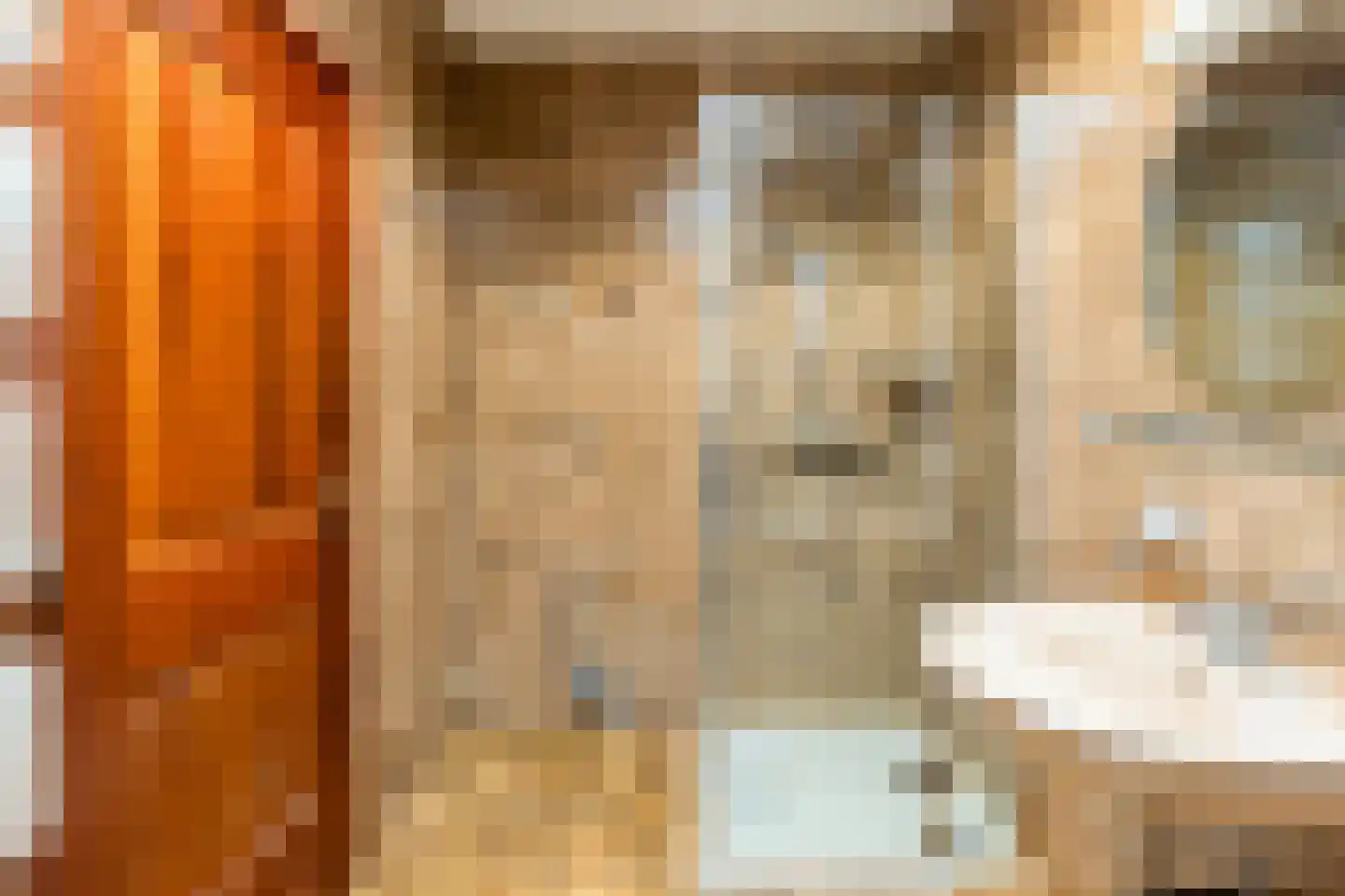 Kapelstraat 117 a Beek en Donk thumbnail 21