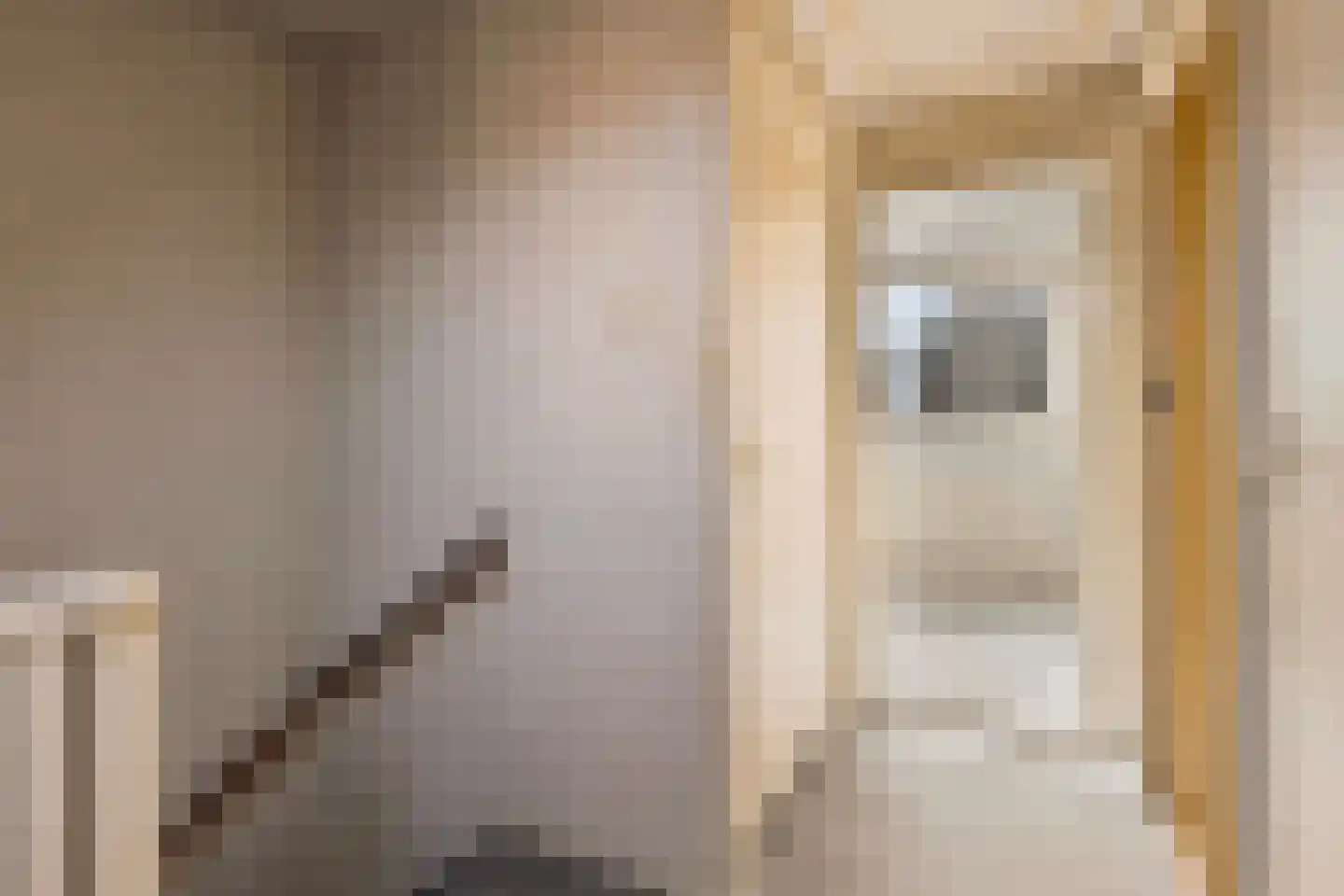 Kapelstraat 117 a Beek en Donk thumbnail 24