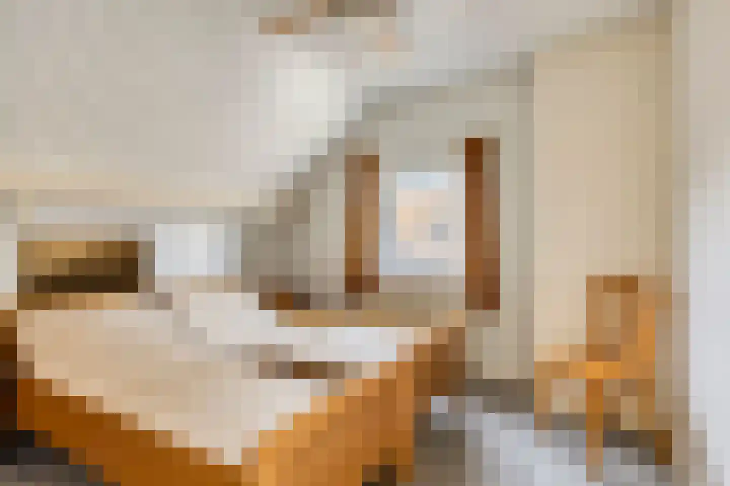 Kapelstraat 117 a Beek en Donk thumbnail 26
