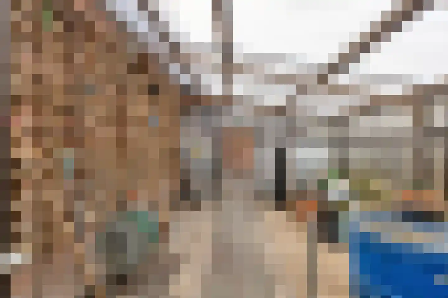 Kapelstraat 117 a Beek en Donk thumbnail 35