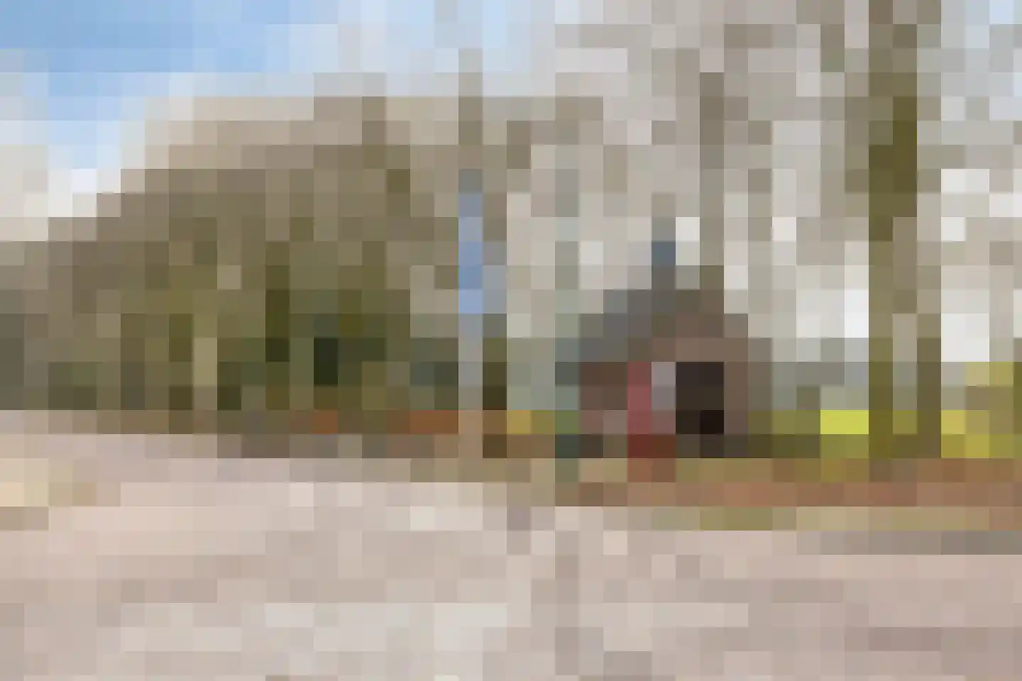 Kapelstraat 117 a Beek en Donk thumbnail 36