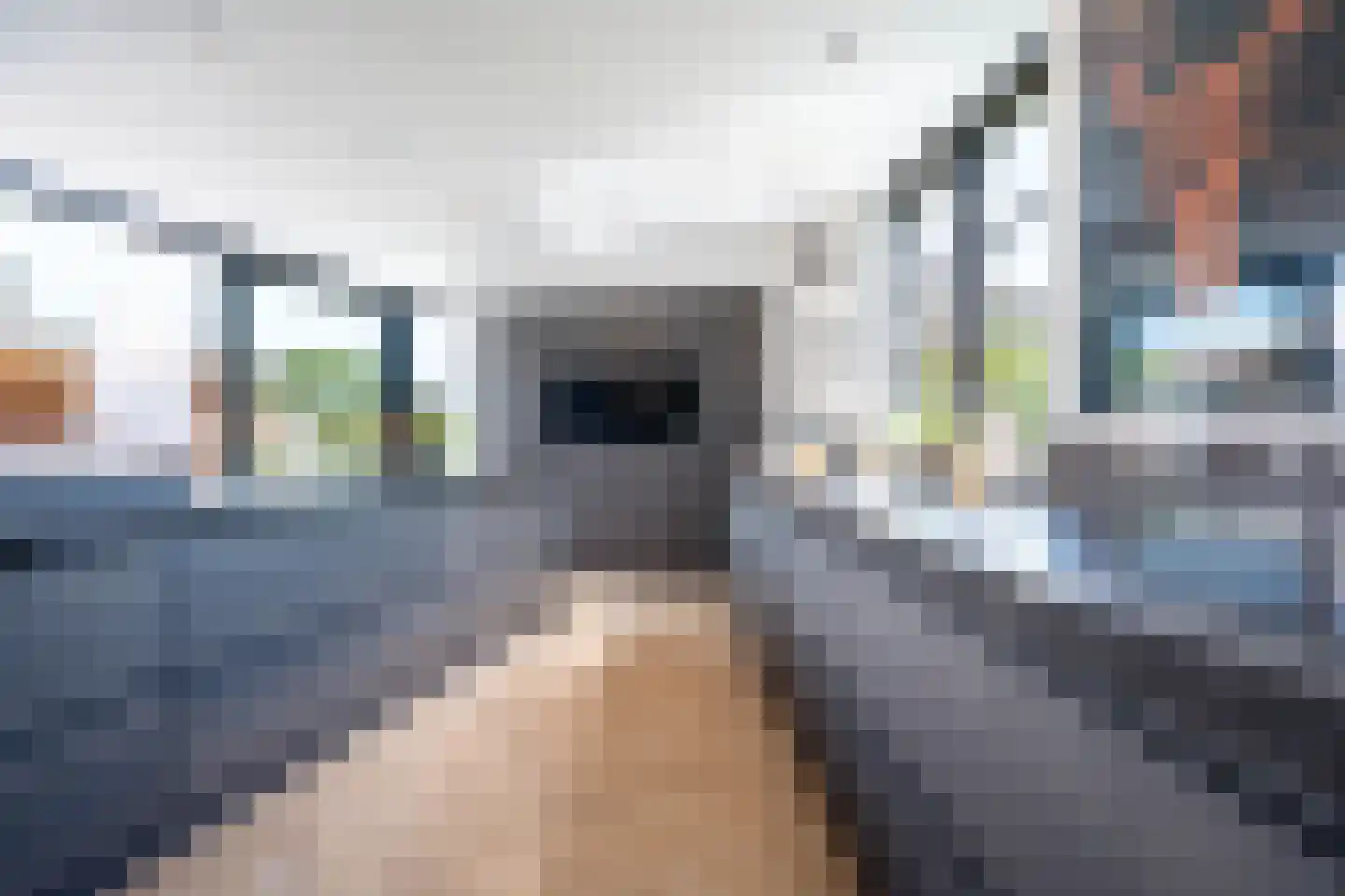 Kapelstraat 12 Molenschot thumbnail 12