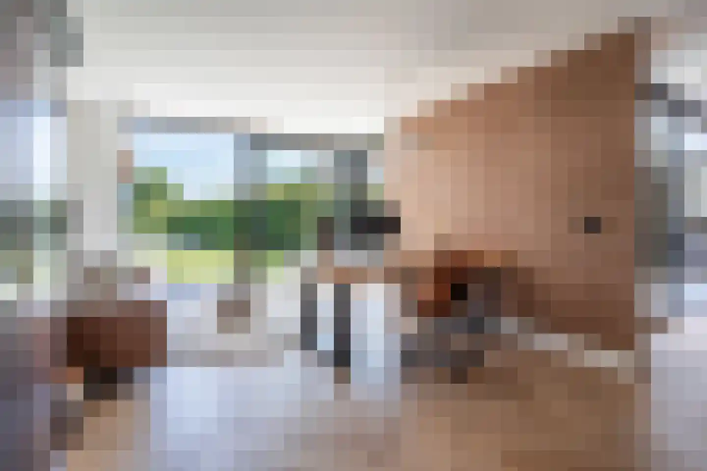 Kapelstraat 12 Molenschot thumbnail 17