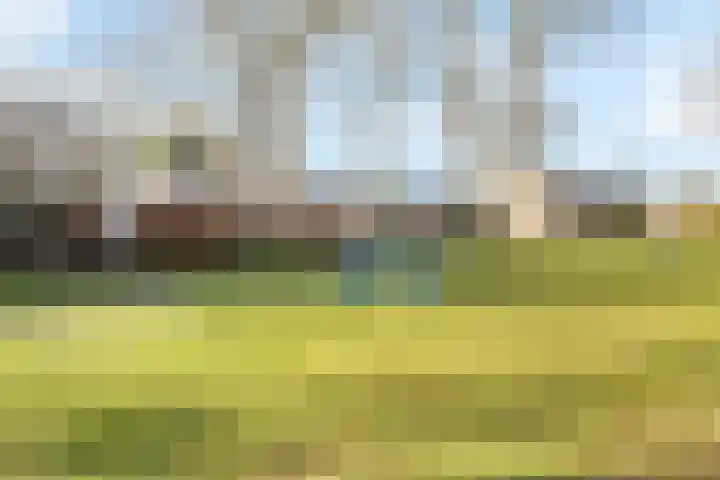 Kapelstraat 121 Breda thumbnail 8