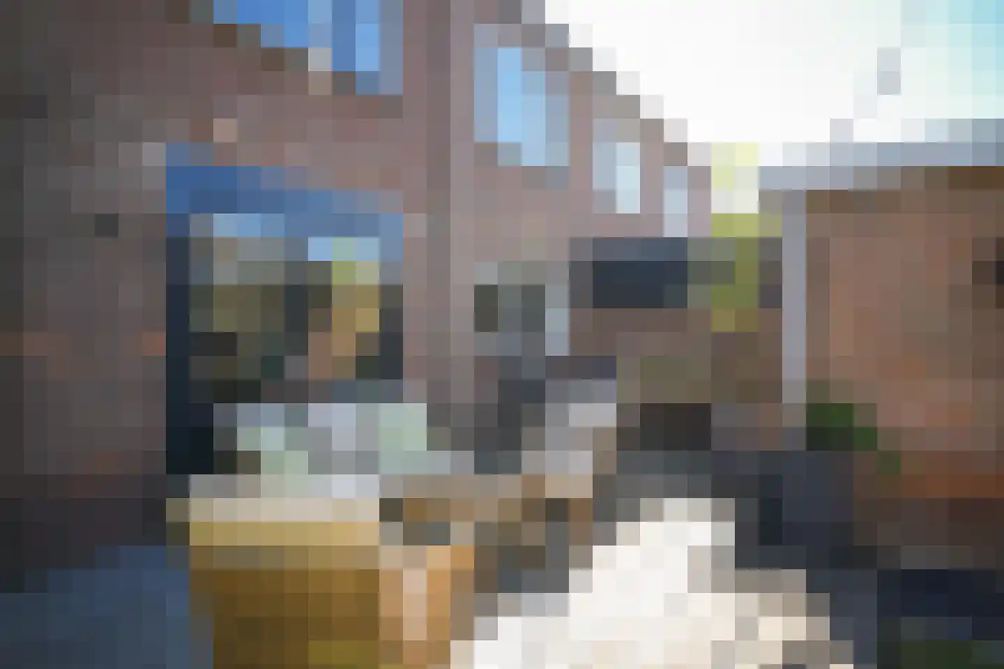 Kapelstraat 13 Maasbommel thumbnail 34