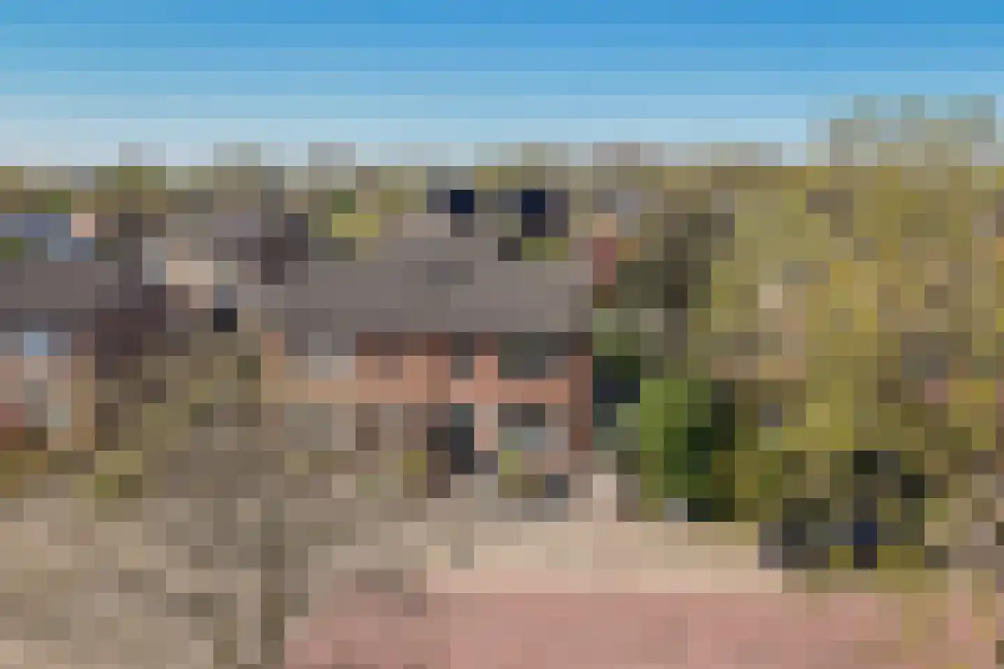 Kapelstraat 13 Maasbommel thumbnail 43