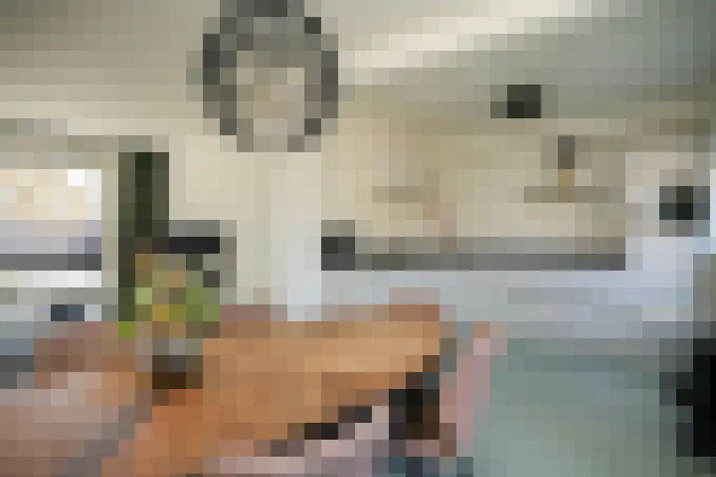 Kapelstraat 13 Maasbommel thumbnail 5