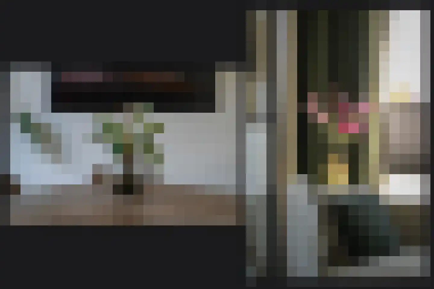 Kapelstraat 13 Maasbommel thumbnail 8