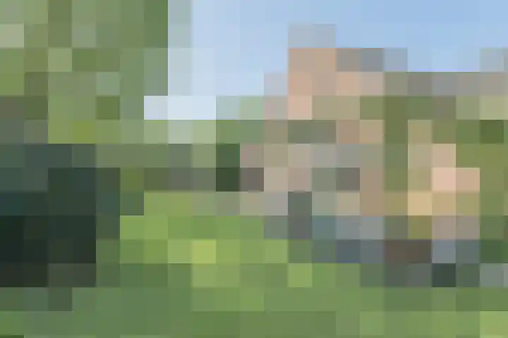 Kapelstraat 13 Molenschot thumbnail 4