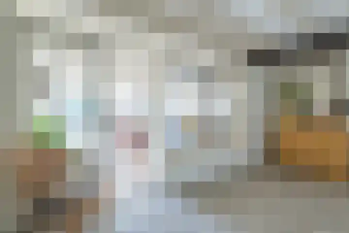Kapelstraat 13 Molenschot thumbnail 9