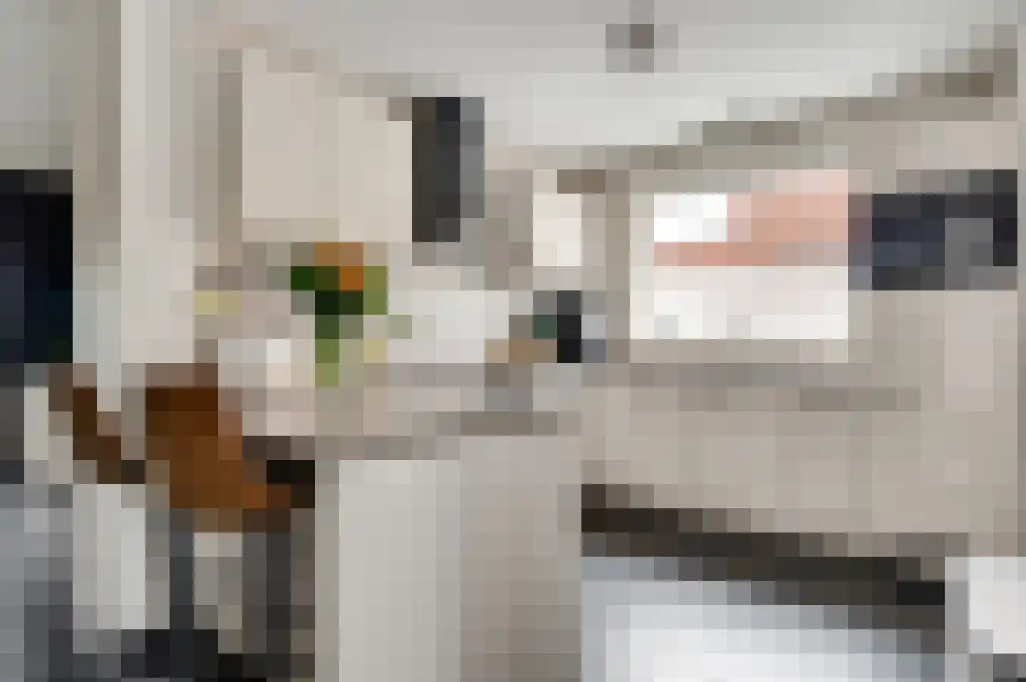 Kapelstraat 15 Buggenum thumbnail 11