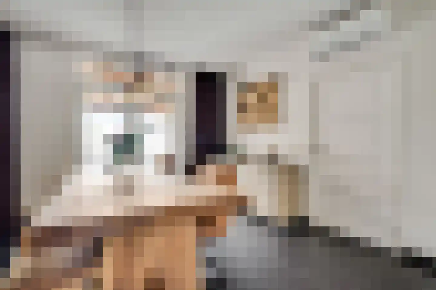 Kapelstraat 15 Buggenum thumbnail 16