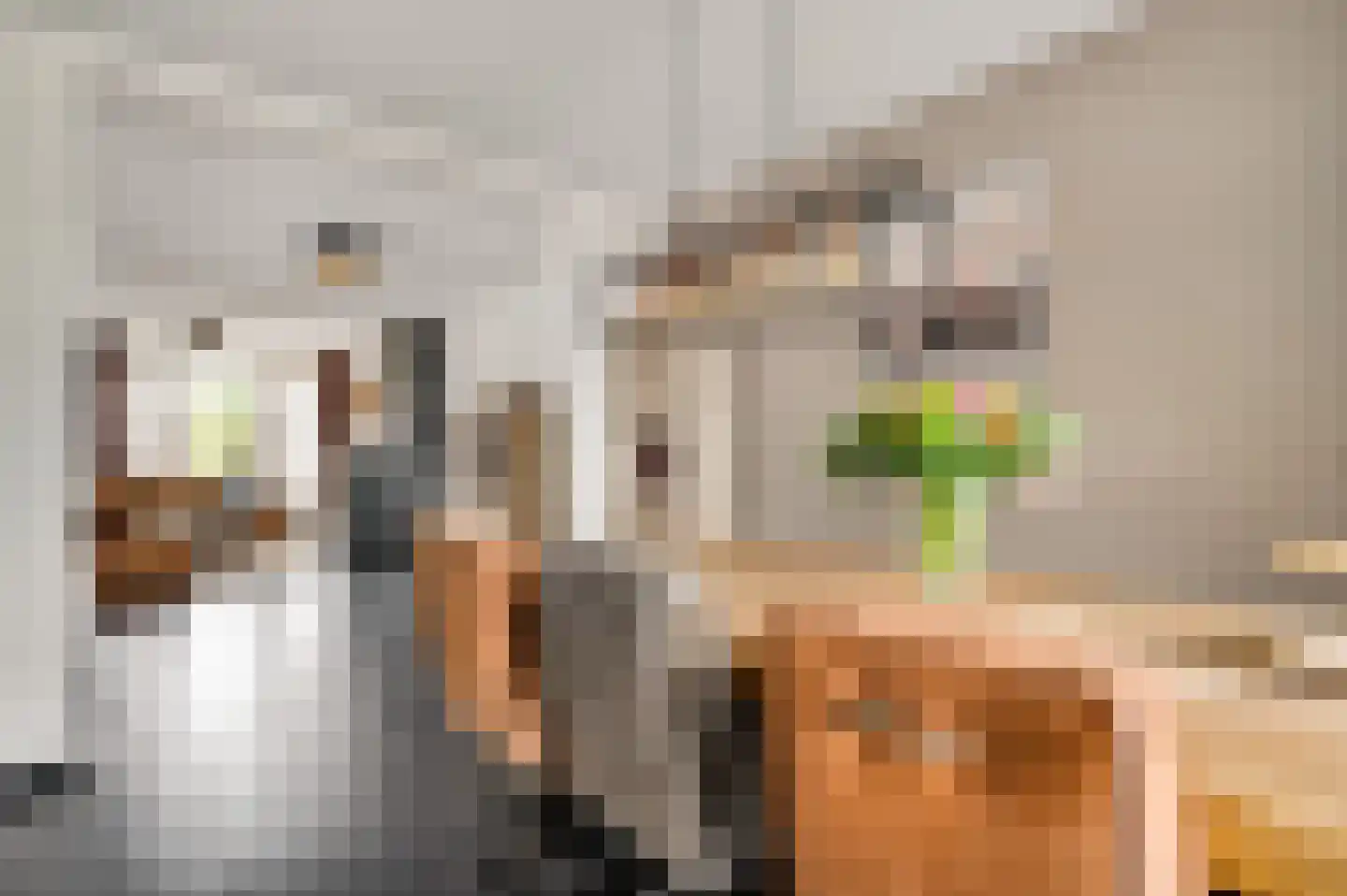 Kapelstraat 15 Buggenum thumbnail 18