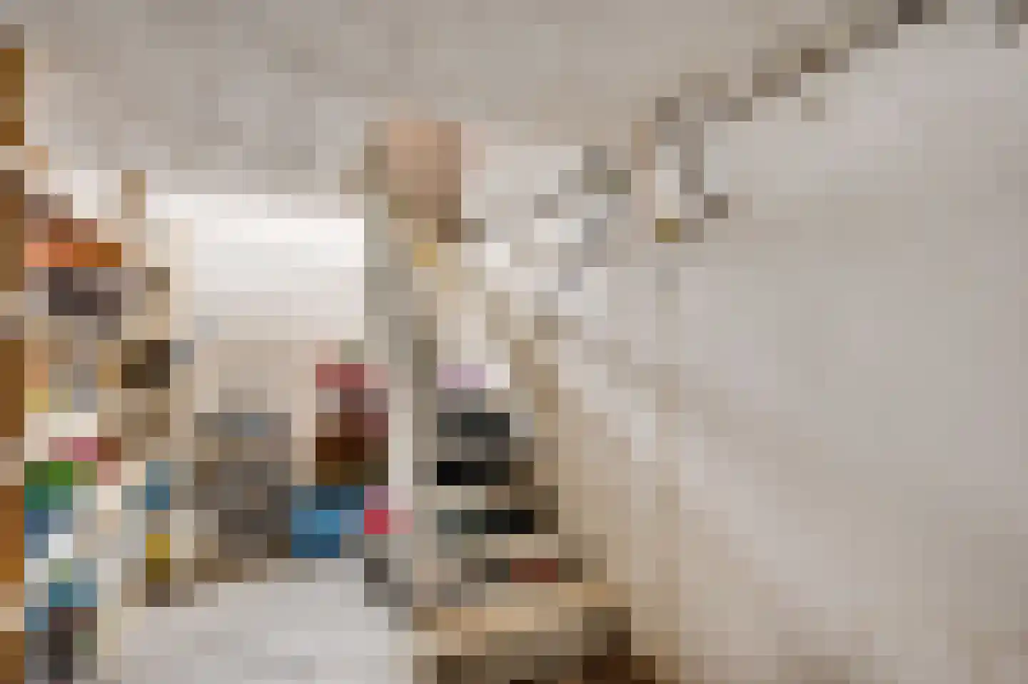 Kapelstraat 15 Buggenum thumbnail 20