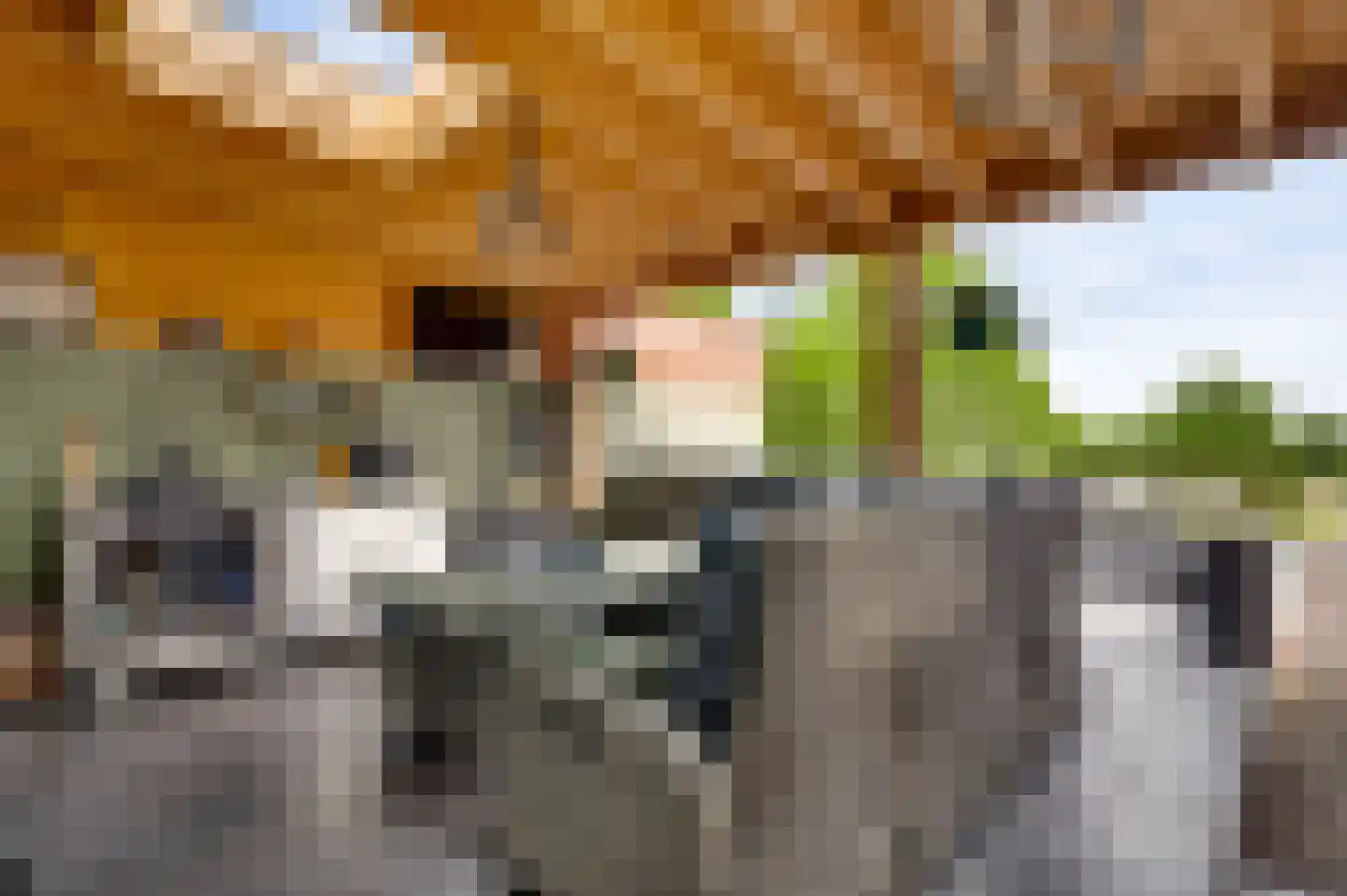 Kapelstraat 15 Buggenum thumbnail 23
