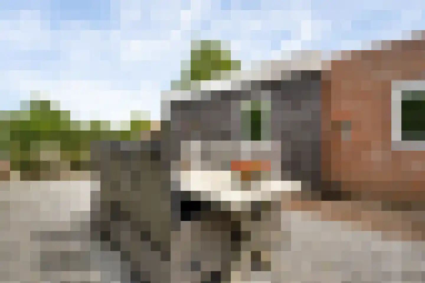 Kapelstraat 15 Buggenum thumbnail 25