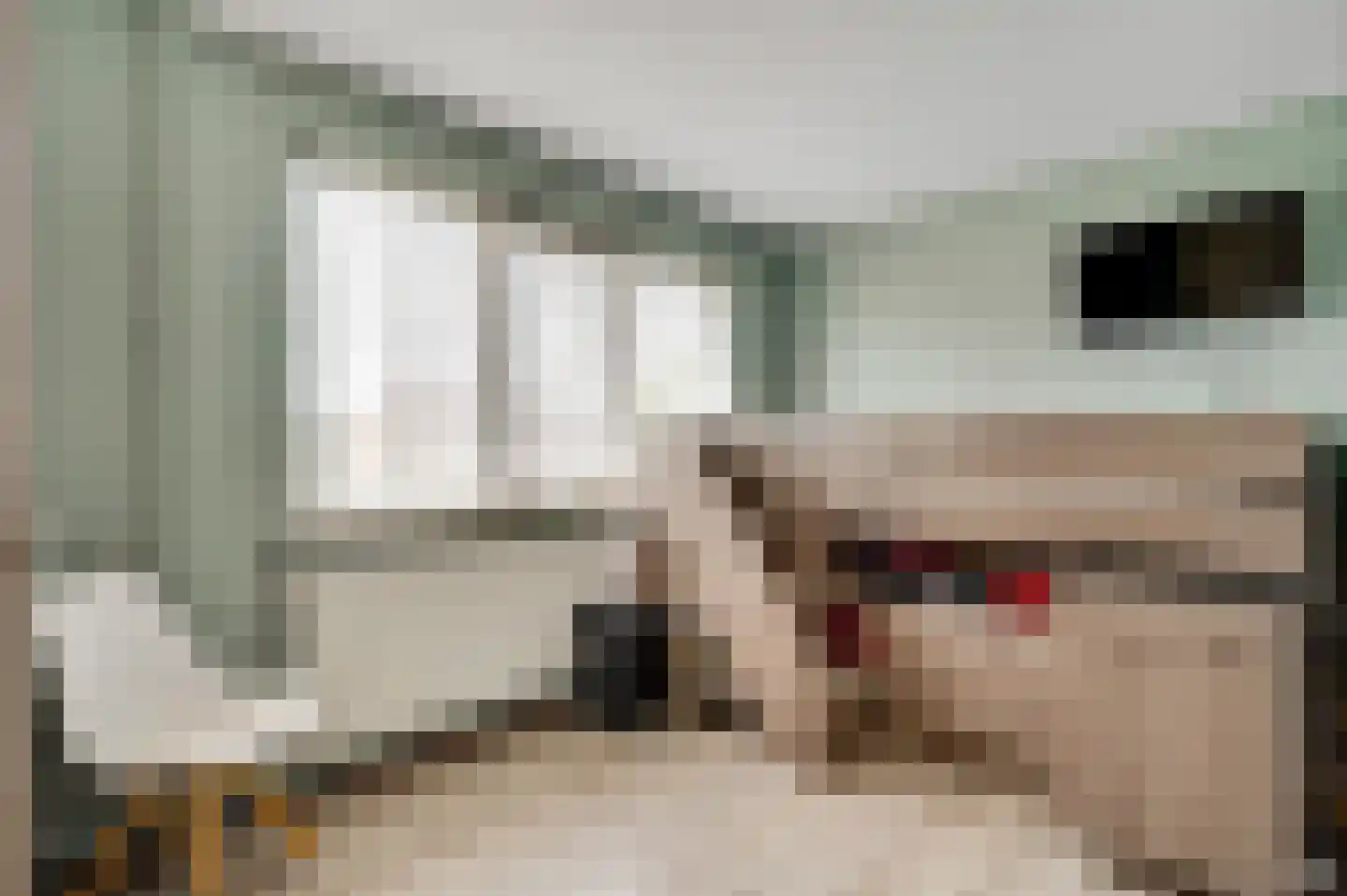 Kapelstraat 15 Buggenum thumbnail 34