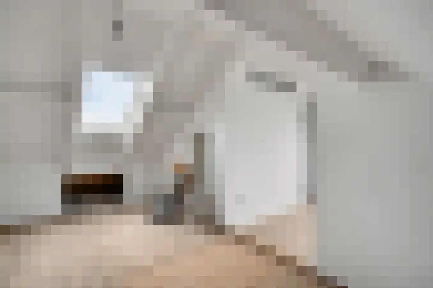 Kapelstraat 15 Buggenum thumbnail 39