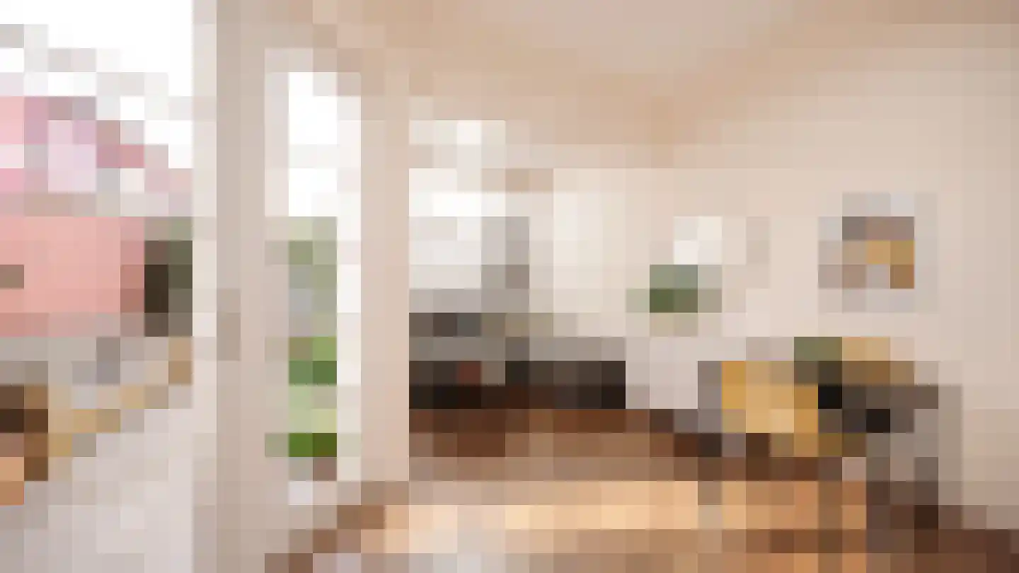 Kapelstraat 15 Utrecht thumbnail 4