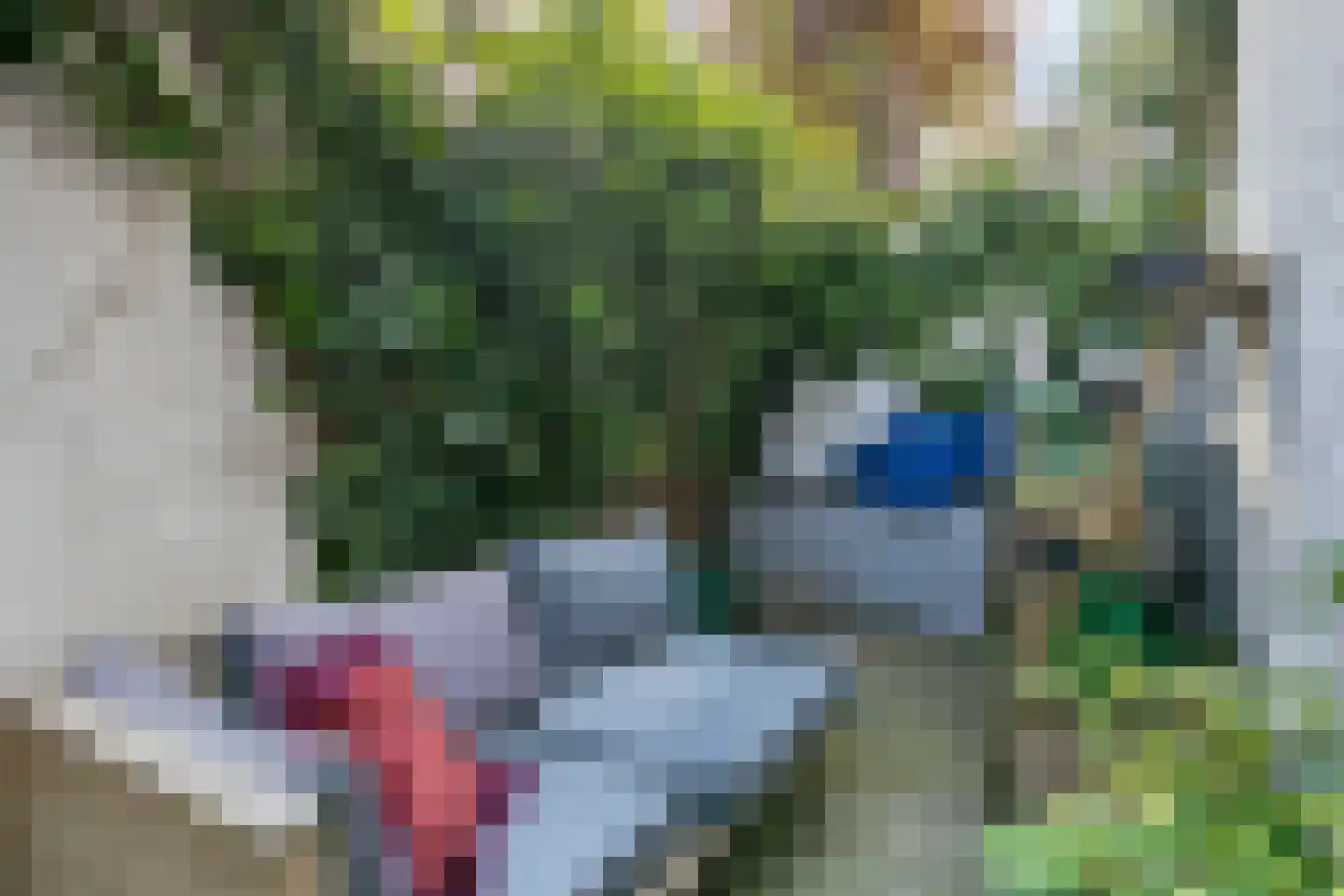 Kapelstraat 15 Utrecht thumbnail 7