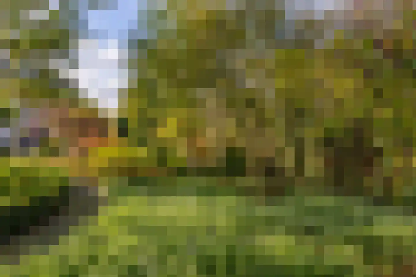 Kapelstraat 17 Gendt thumbnail 27
