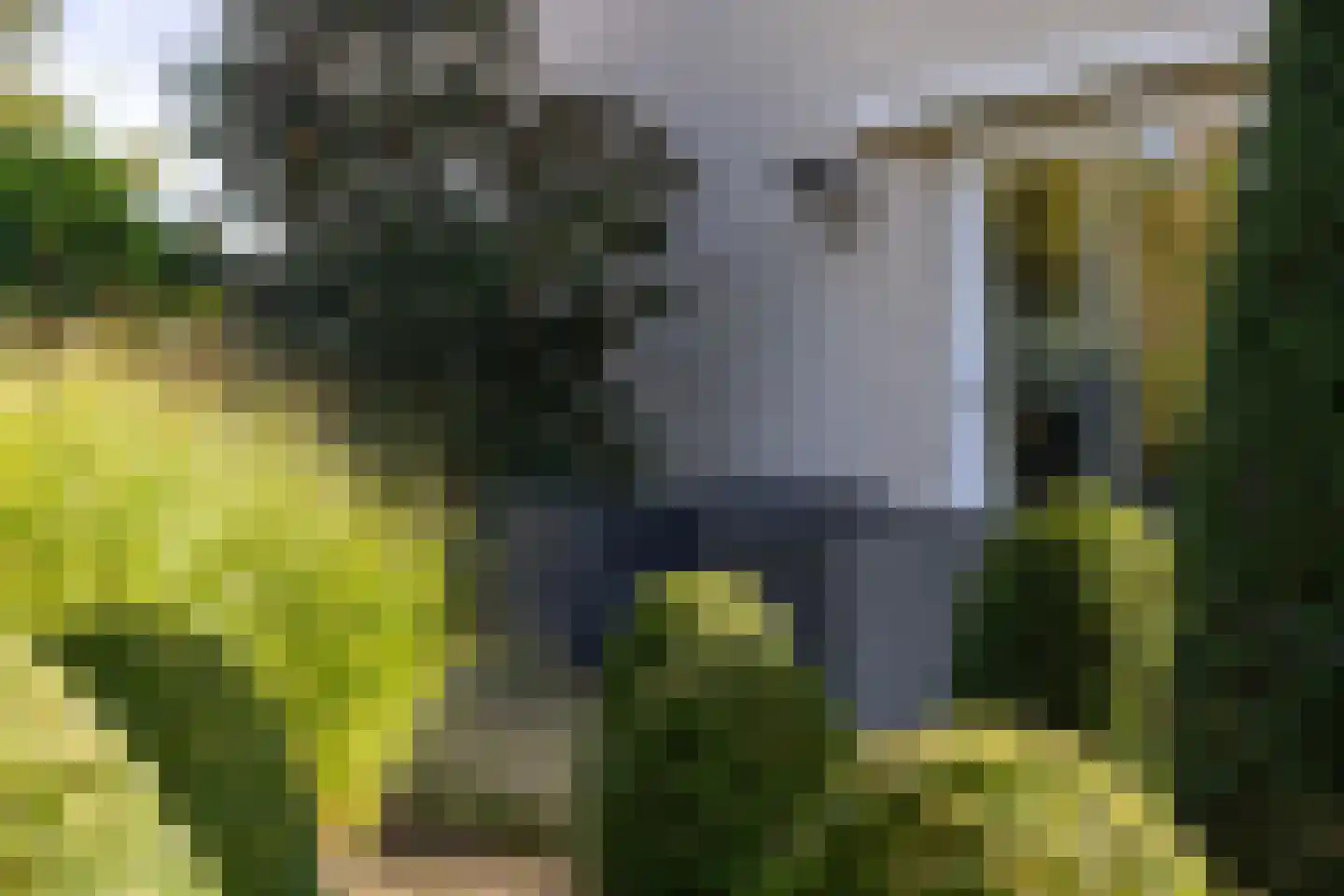 Kapelstraat 17 Gendt thumbnail 58