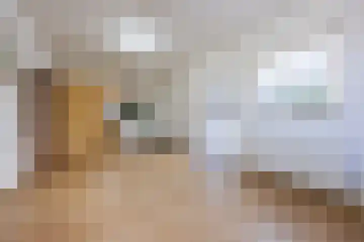 Kapelstraat 17 Zegge thumbnail 35
