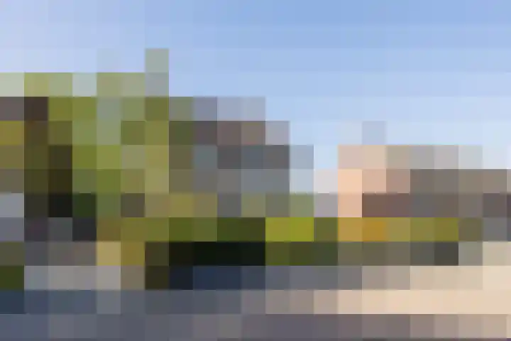 Kapelstraat 17 Zegge thumbnail 7