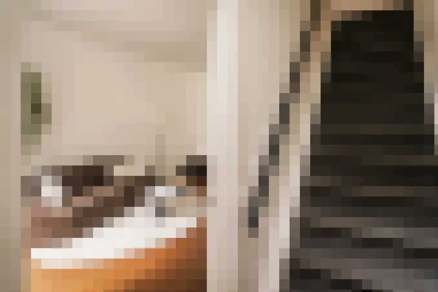 Kapelstraat 18 Utrecht thumbnail 12