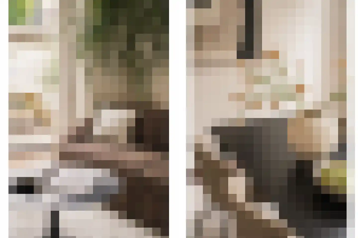 Kapelstraat 18 Utrecht thumbnail 9