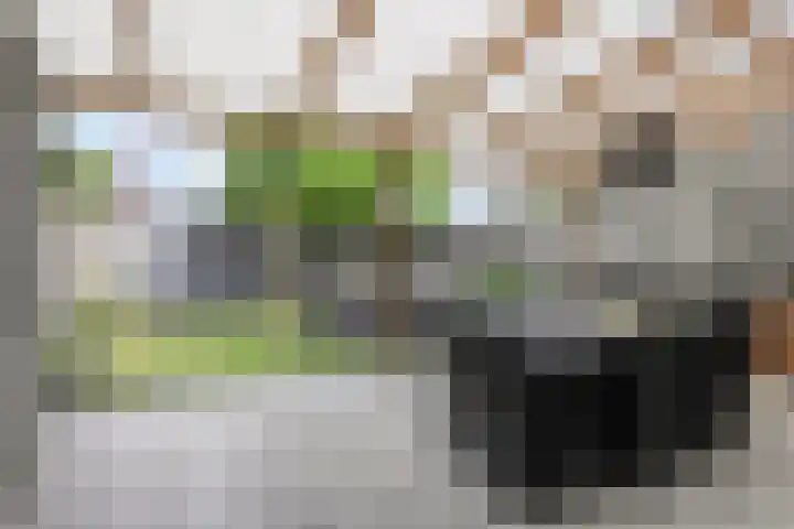 Kapelstraat 18 Wanssum thumbnail 20