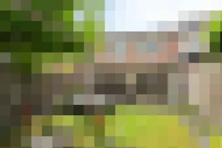 Kapelstraat 18 Wanssum thumbnail 24