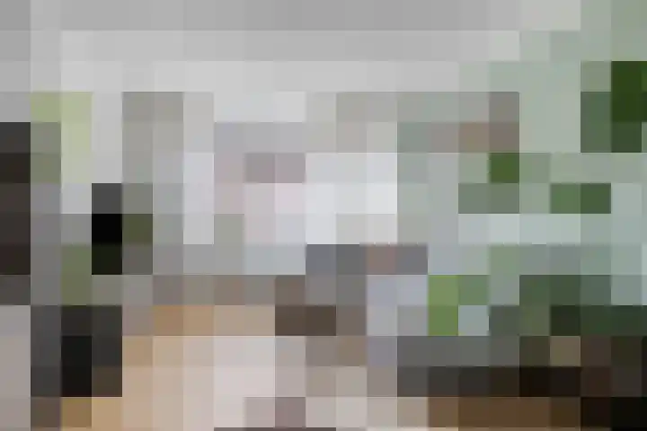 Kapelstraat 18 Wanssum thumbnail 6