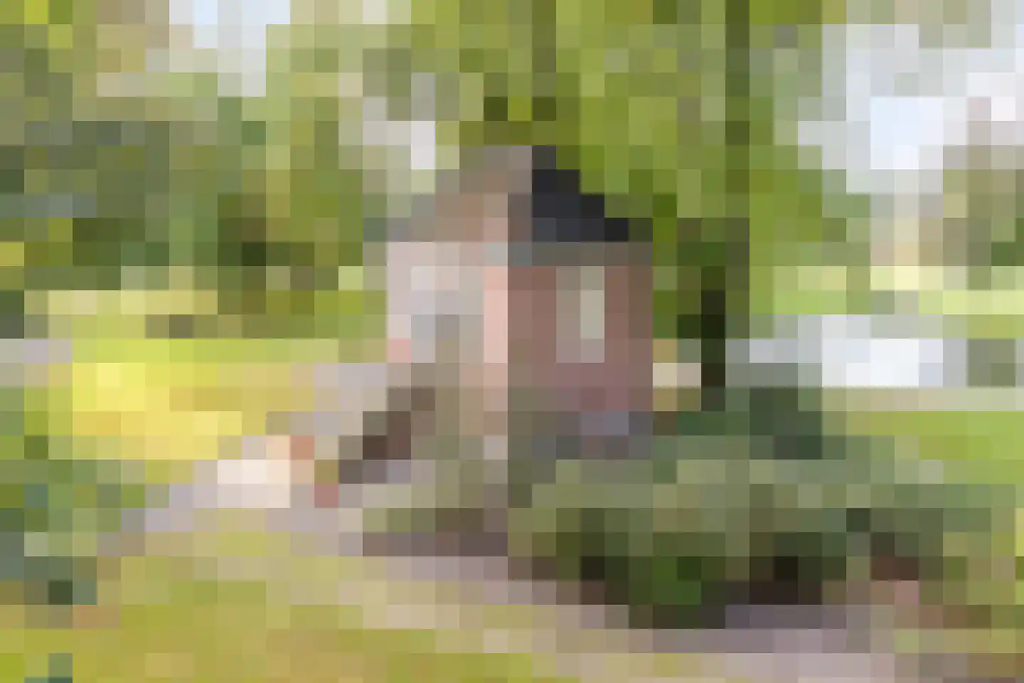 Kapelstraat 19 C Ootmarsum thumbnail 37